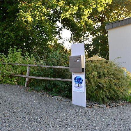 Bleus Nuit Bed and Breakfast Lierneux Εξωτερικό φωτογραφία